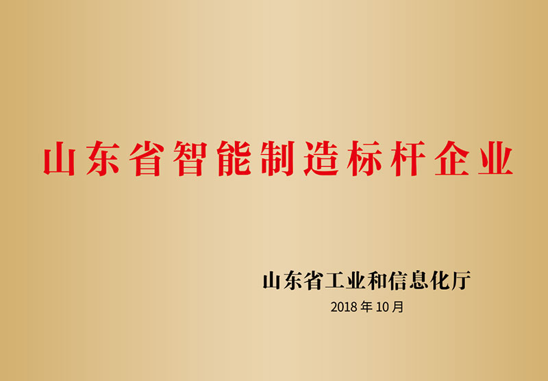 9山東省智能制造標(biāo)桿企業(yè)