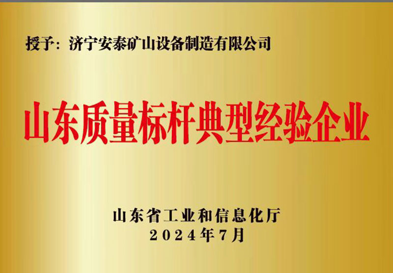 1山東質(zhì)量標(biāo)桿典型經(jīng)驗企業(yè)