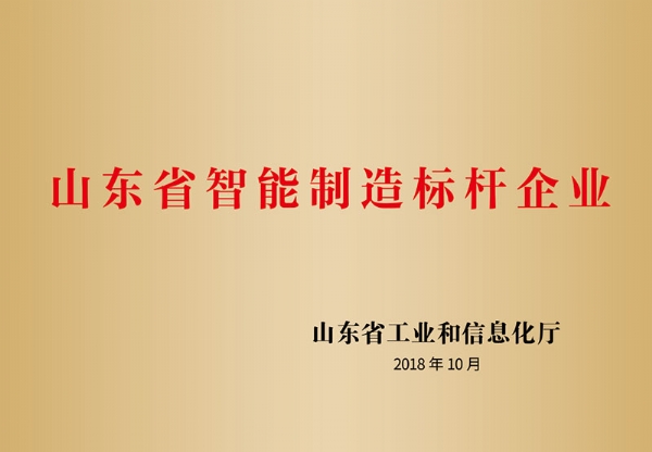 山東省智能制造標桿企業(yè)